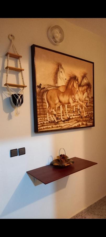 Appartements Playa Saïdia Dış mekan fotoğraf